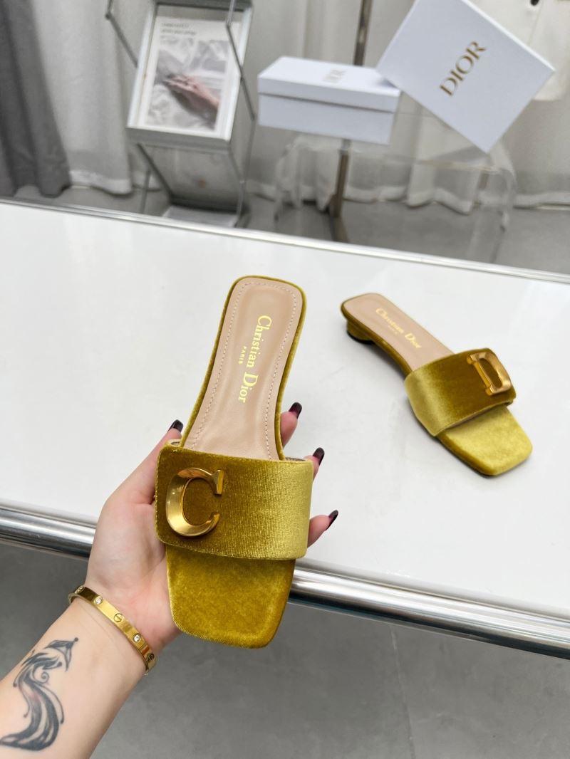 Christian Dior Slippers